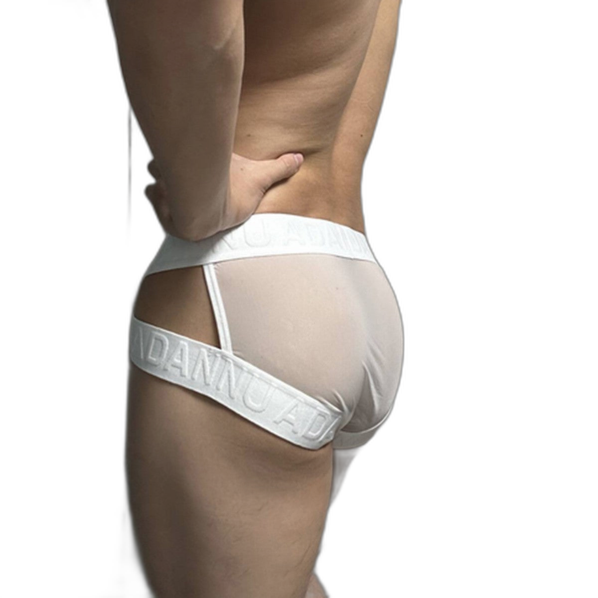 Sheer Mesh Brief