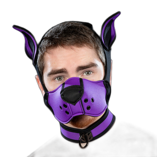 Mr S Leather Neoprene K9 Kit Muzzle Purple