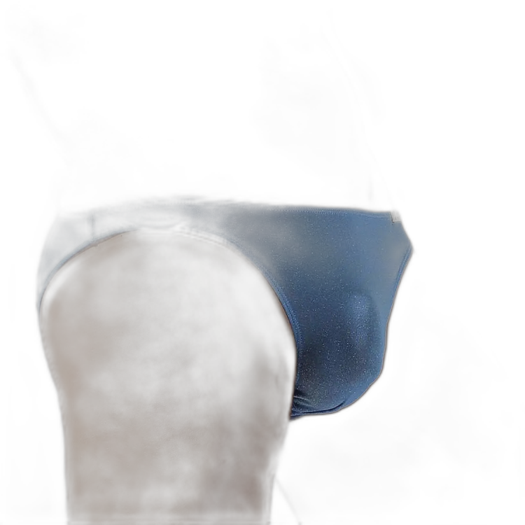 Tauwell Shine Bright Sexy Briefs