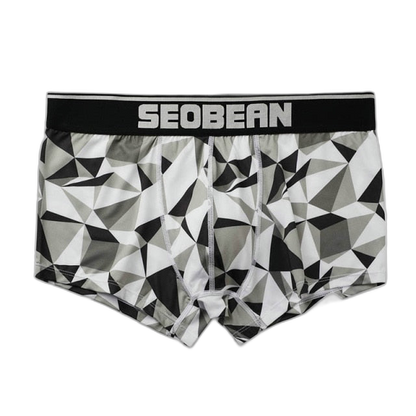 Seobean Geometric Boxers
