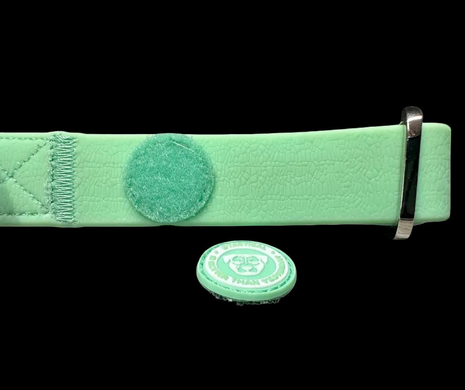 2.5cm Tactical Collar Green