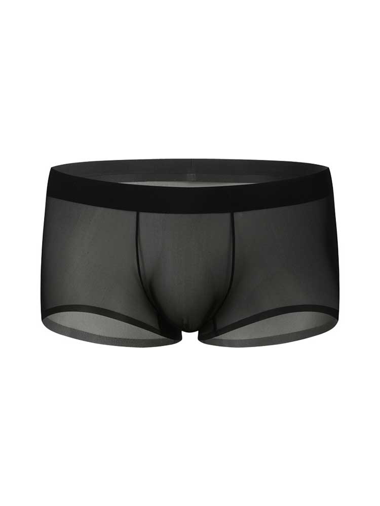 Men's Seamless Low-Rise Sexy Sheer Boxer Briefs