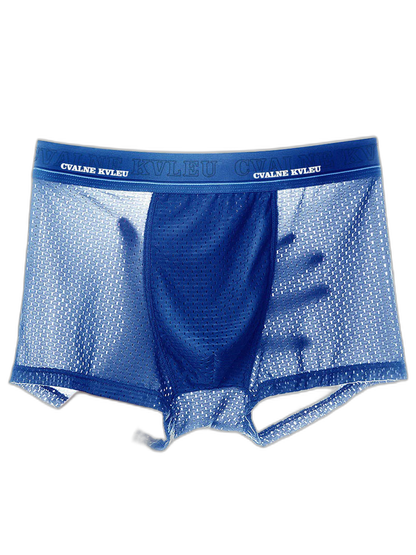 4 Pack Mesh Breathable Ice Silk Underwear Boxer