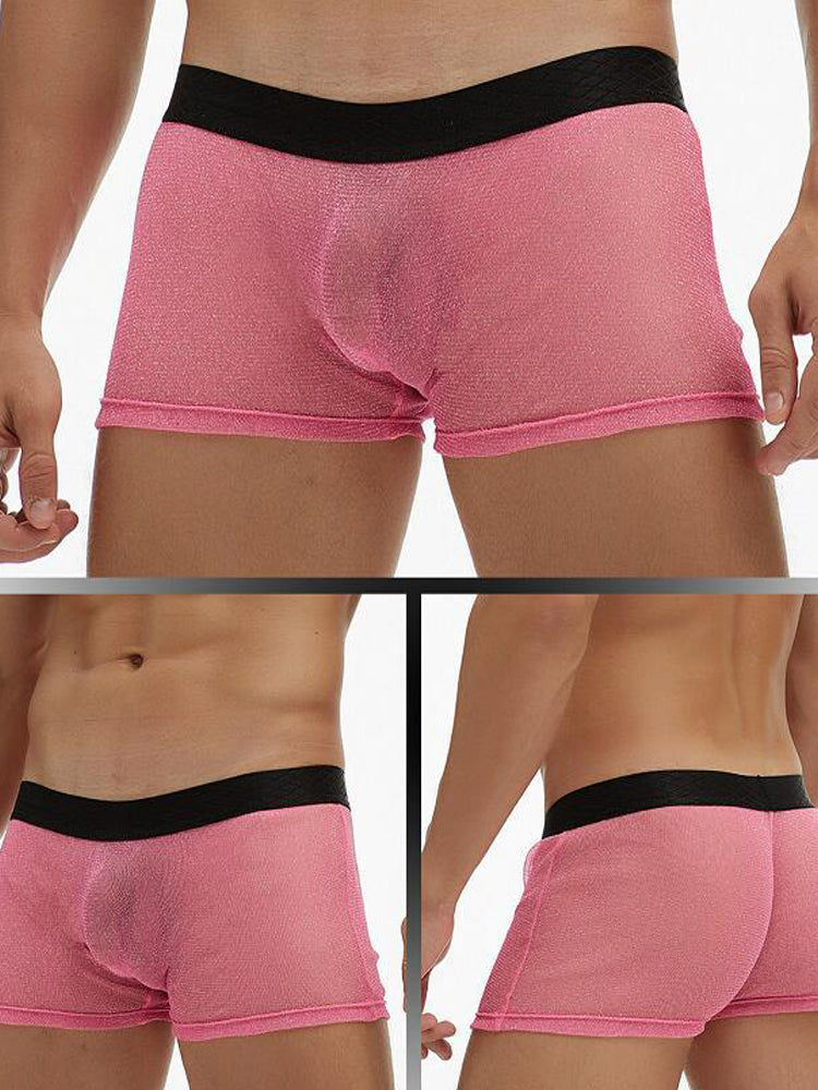 Men's Sheer Mesh Pouch Boxer