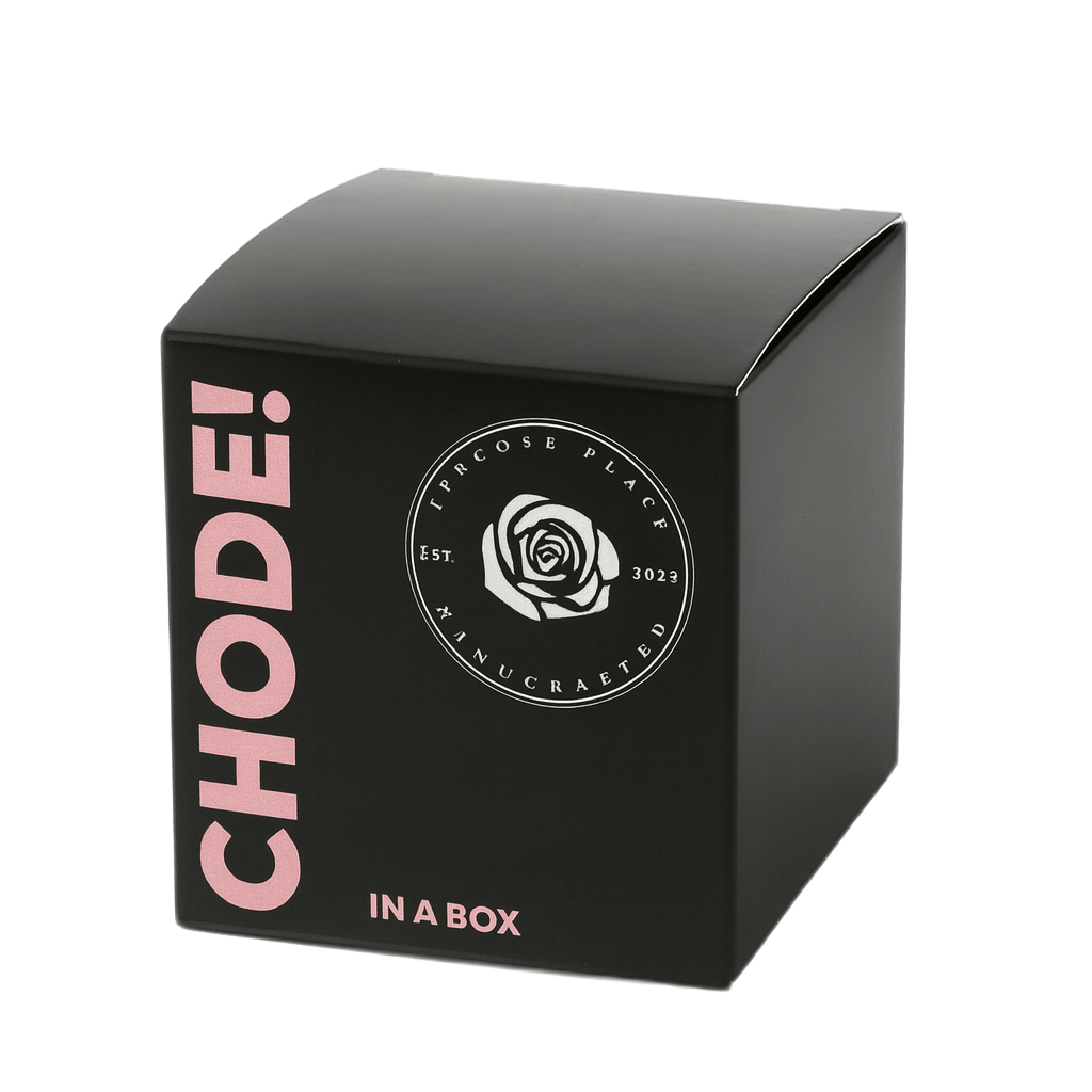 Chode in a Box Pumpkin Spice Chode Orange Candle