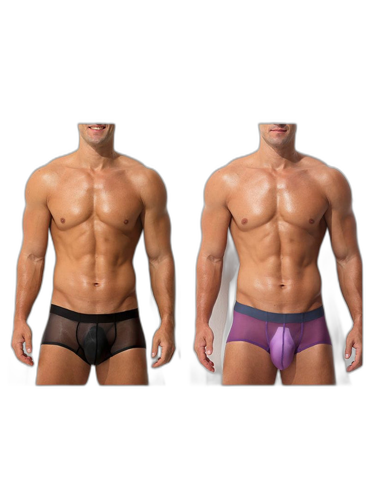 Men's Transparent Sexy Ice Silk Seamless Boxer Briefs