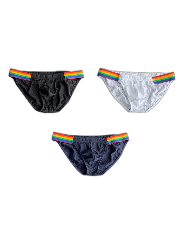 Men's Sexy Rainbow Pride Mesh Bikini