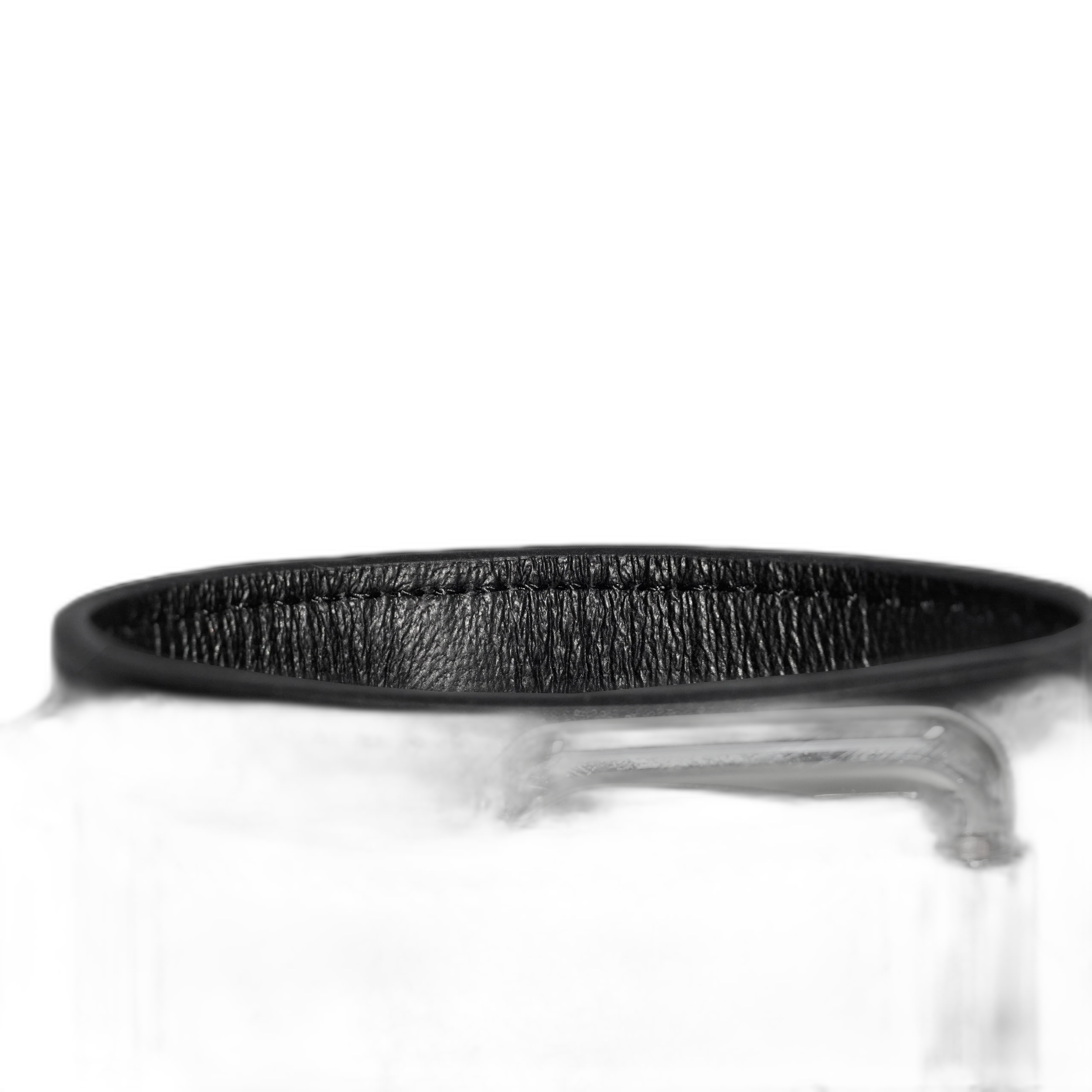 Buckle Style Leather Collar