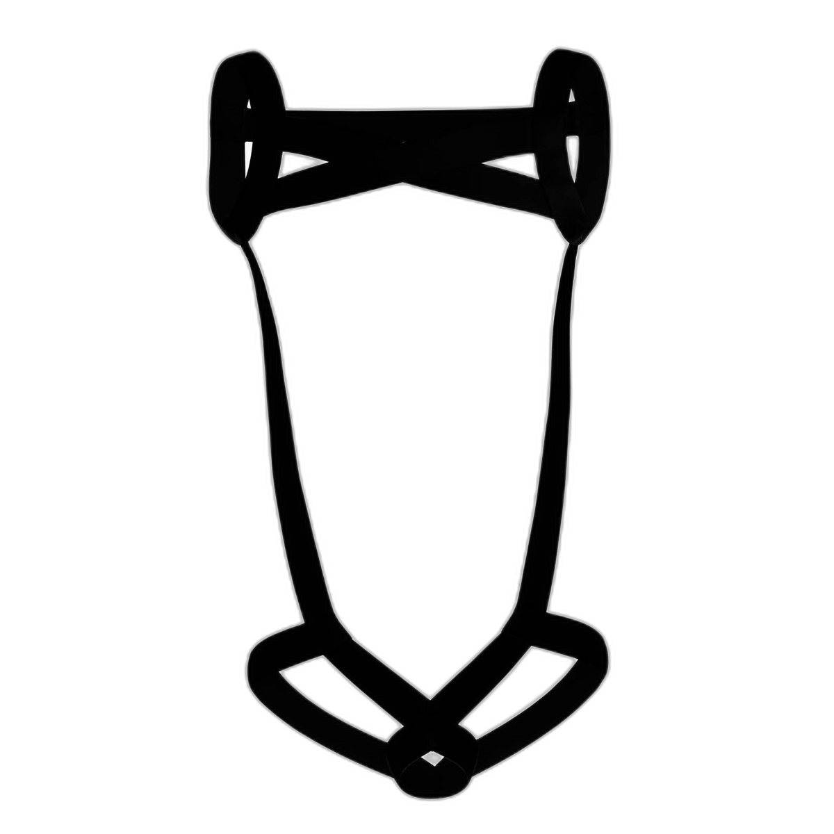 Sexy Men's Full Body Harness