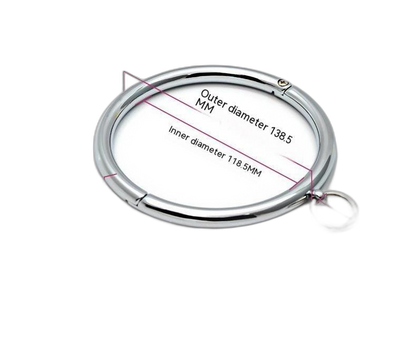 BDSM Metal Collar