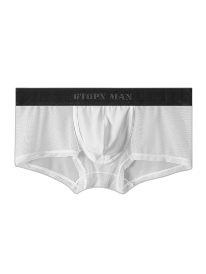 2-Pack Men's Breathable Mesh Ice Silk U-convex Low Waist Boxer Briefs