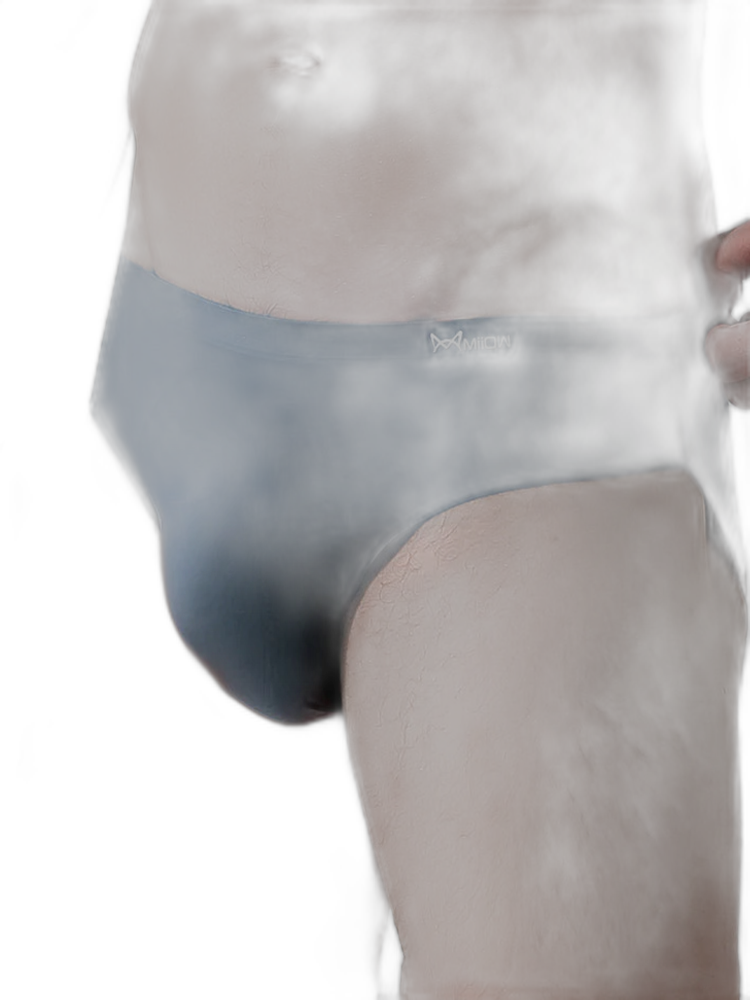 4 Pack Ball Support Seamless Men's Underwear