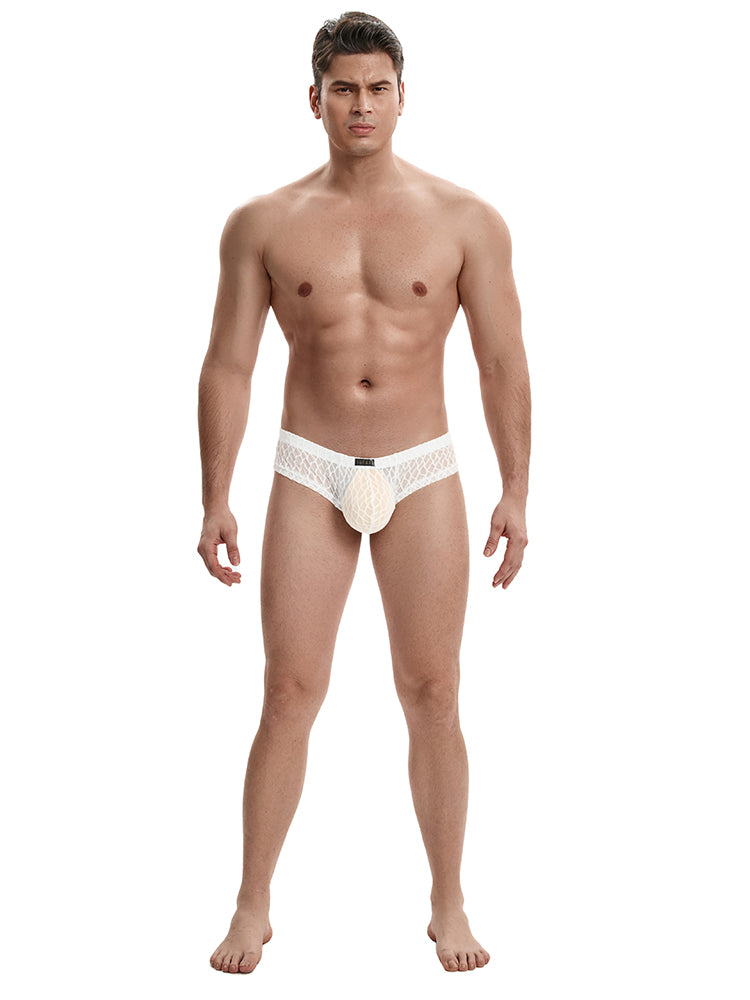 Men's Lace Briefs