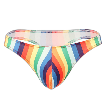 Retro Rainbow Low Rise Briefs