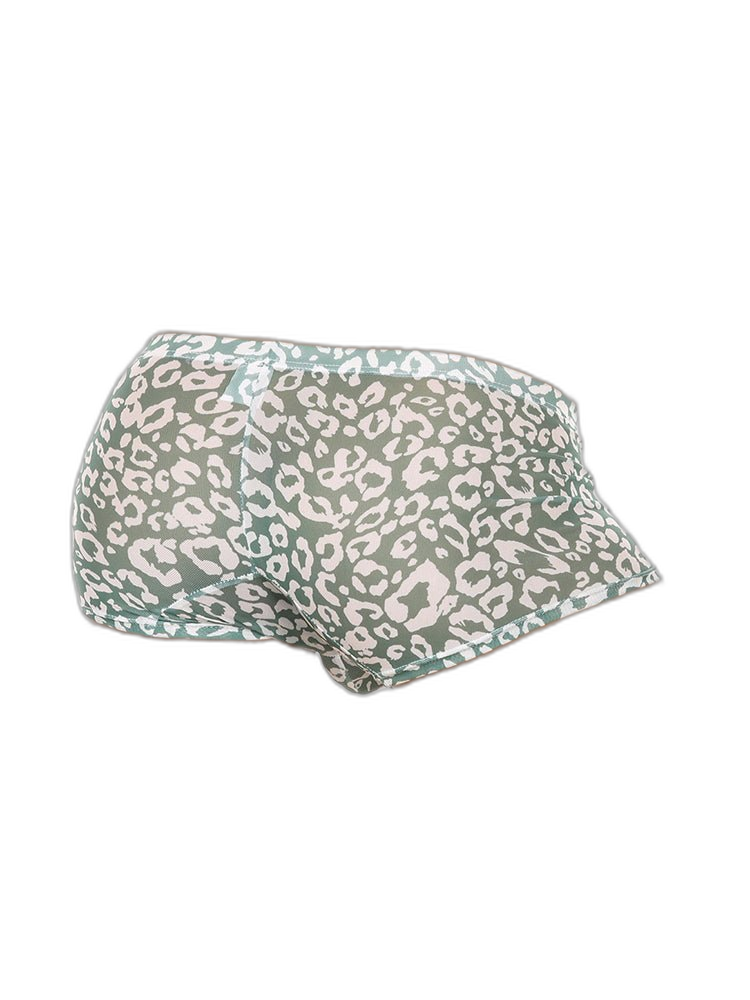 4 Pack Leopard Print See-through Mesh Trunks