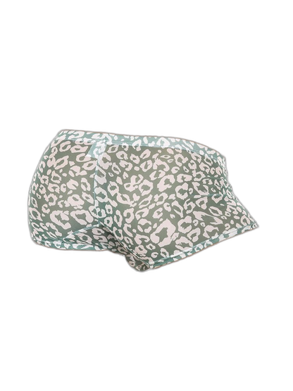 4 Pack Leopard Print See-through Mesh Trunks