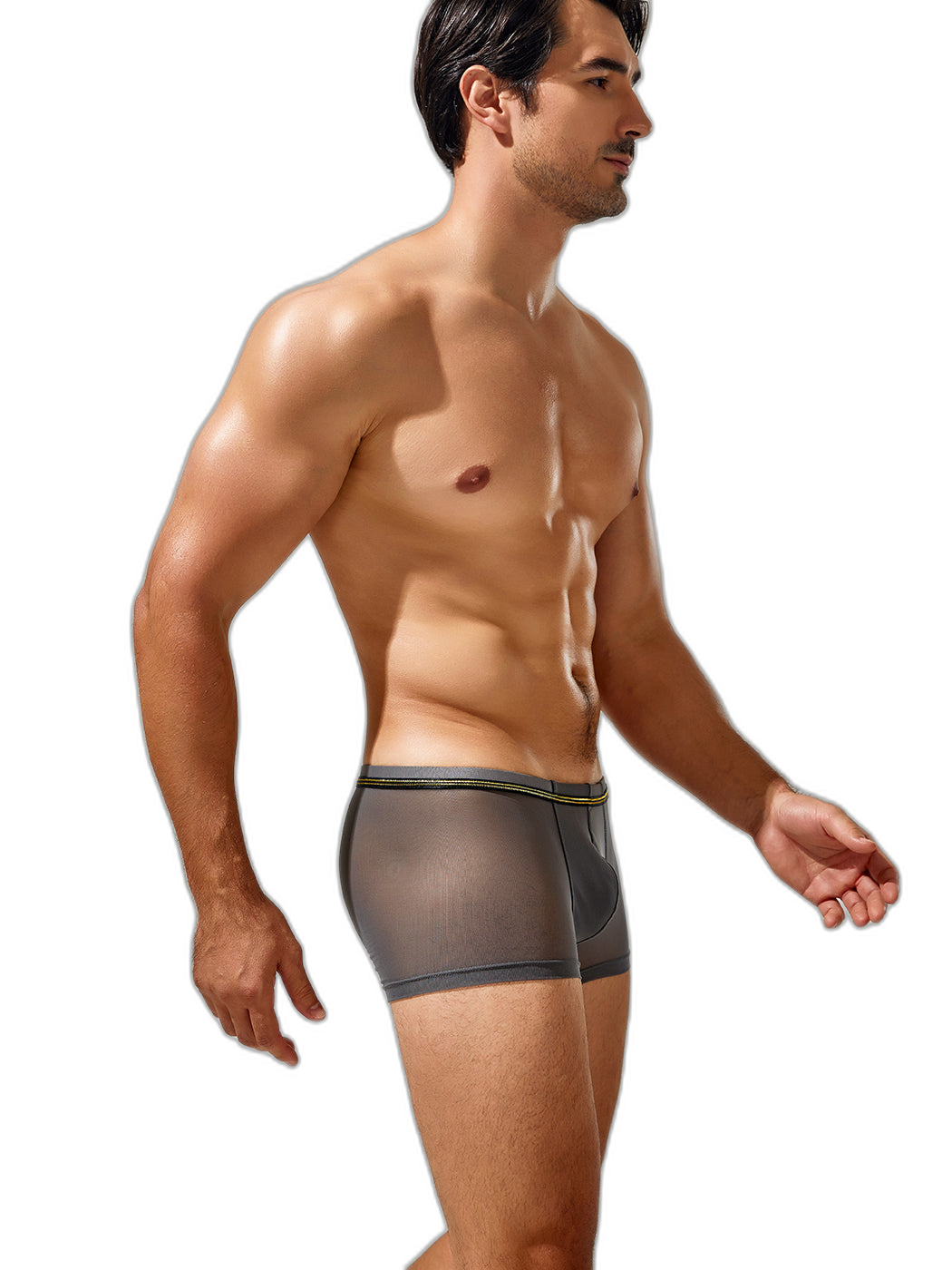 Men's Sexy Low-rise Mesh Trunks