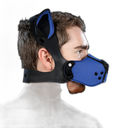 Mr S Leather Neoprene K9 Kit Ears Royal