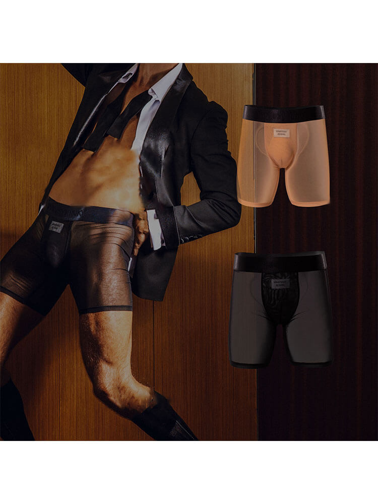 Men's Sexy Mid-Waist See-Through Mesh Boxer Briefs