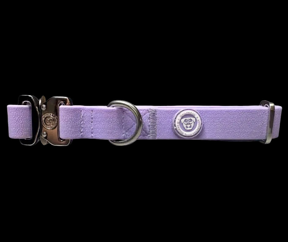 2.5cm Tactical Collar Purple