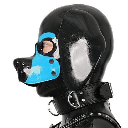 Furrjoi Silicone Beagle Hood Light Blue