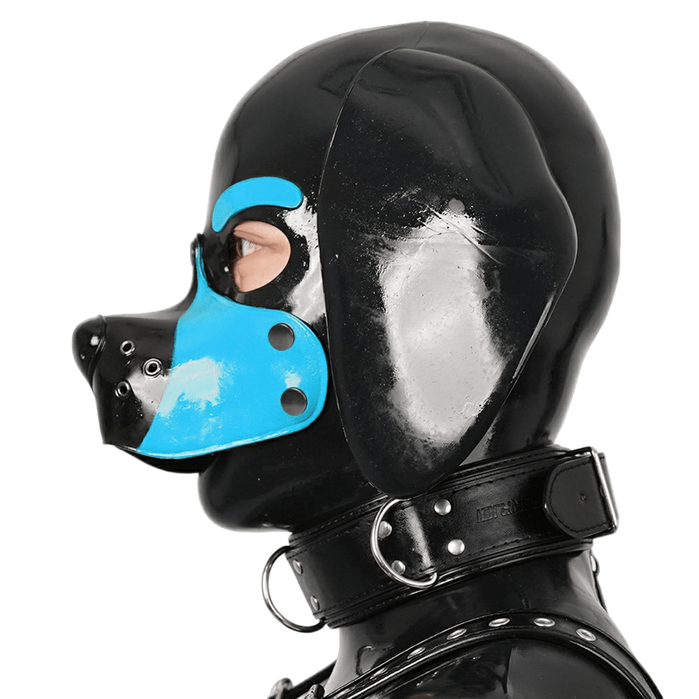 Furrjoi Silicone Beagle Hood Light Blue