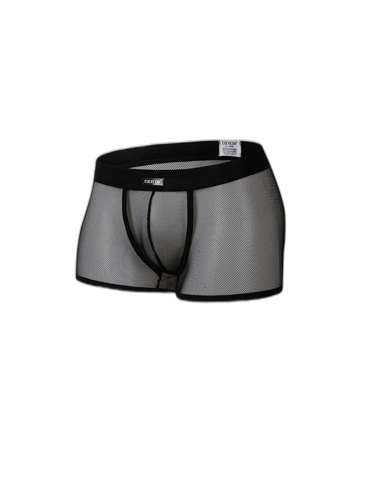 Men's Sexy Transparent Mesh Trunks