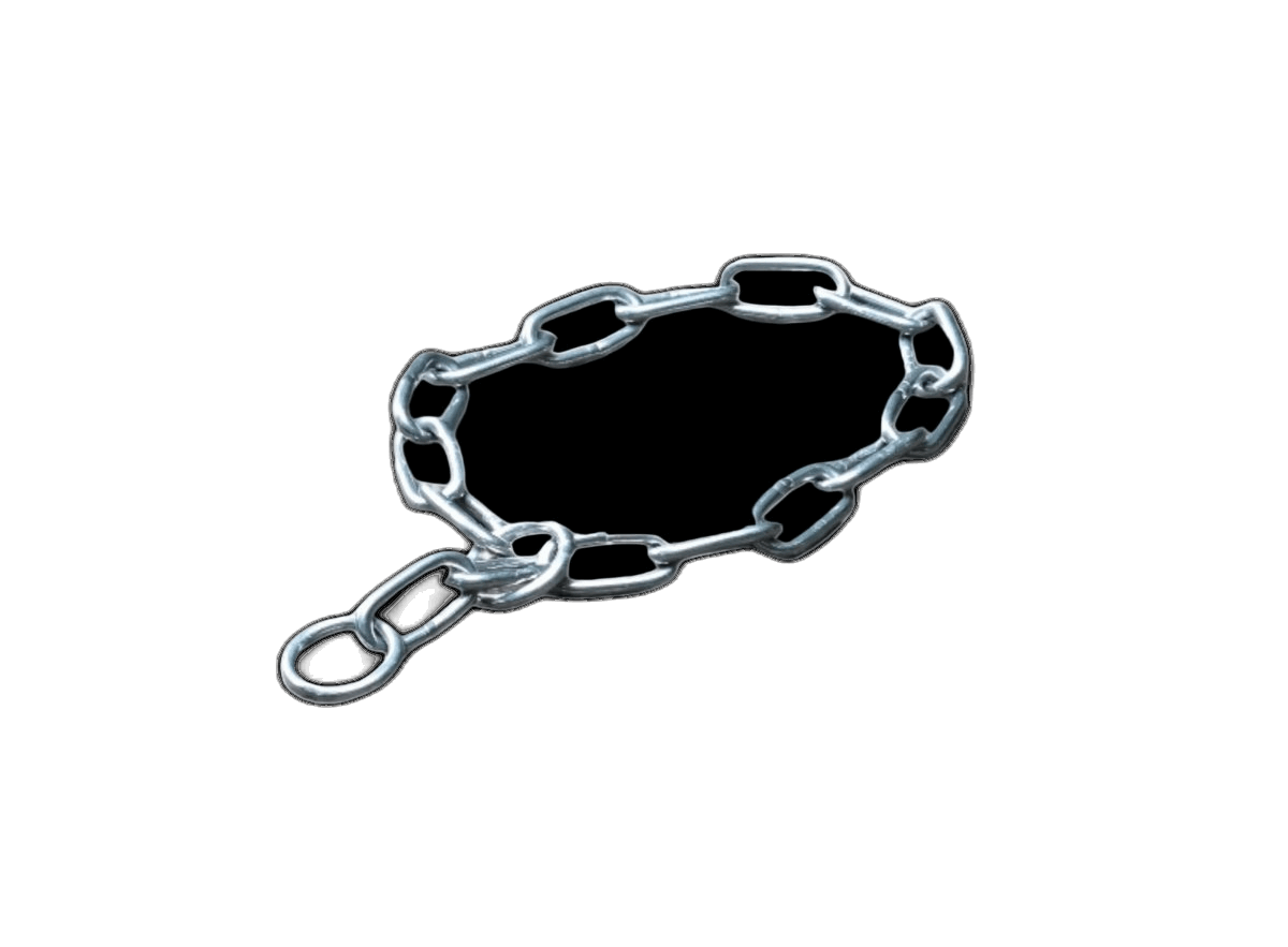 5mm Chain Collar