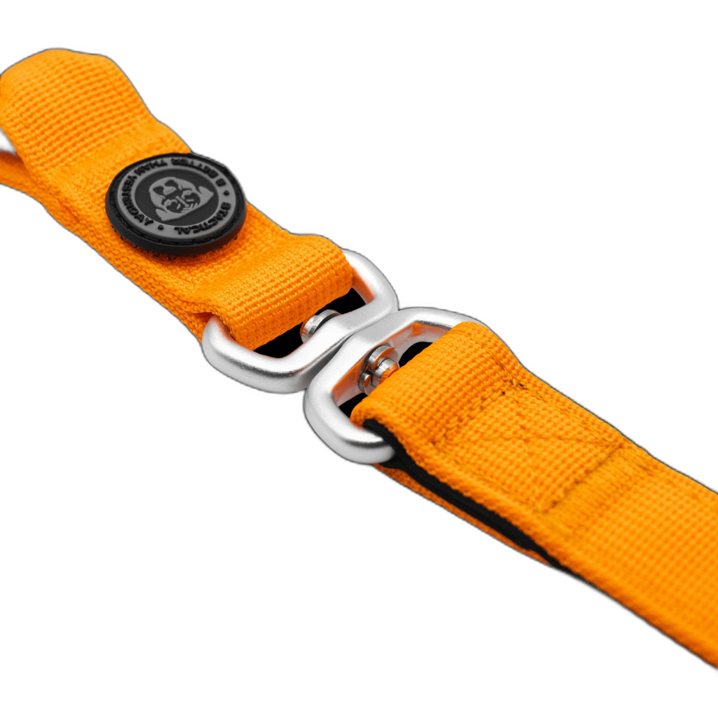 Tactical Frog Clip Lead Orange