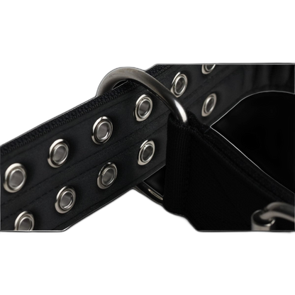 Pure Dog k9 Sports Collar Black