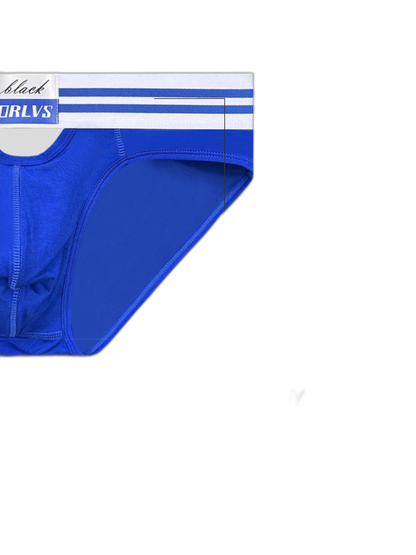 2 Pack Men's Low-Rise Breathable Modal briefs