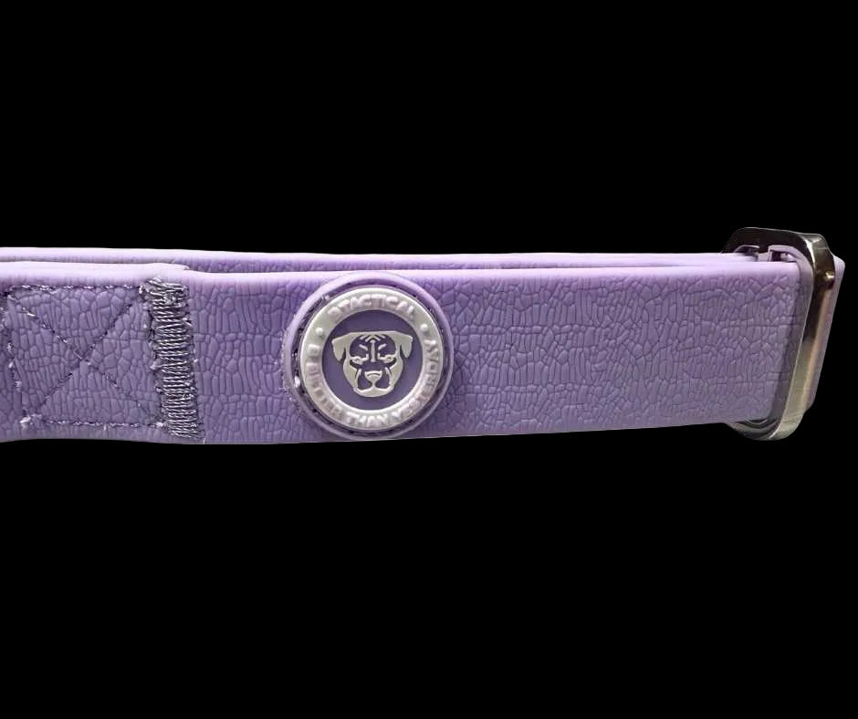 2.5cm Tactical Collar Purple
