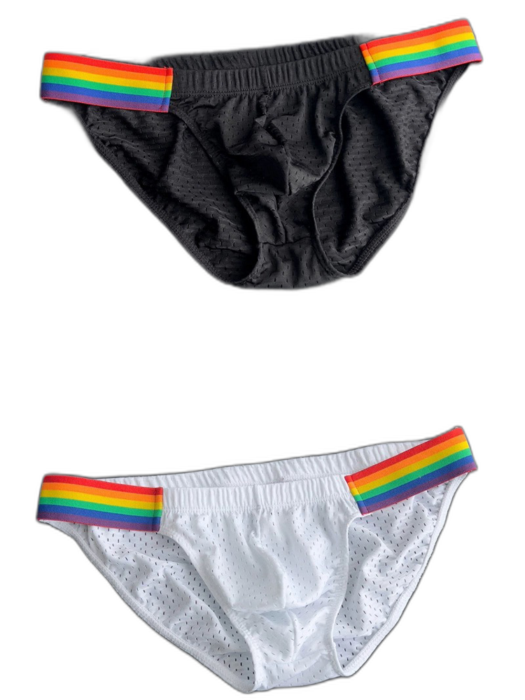 Men's Sexy Rainbow Pride Mesh Bikini