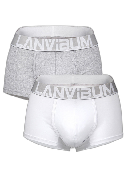 2 Pack Men's Breathable Big Pouch Trunks