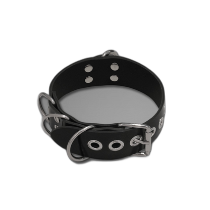 Multi-D Buckle Style Silicone Collar