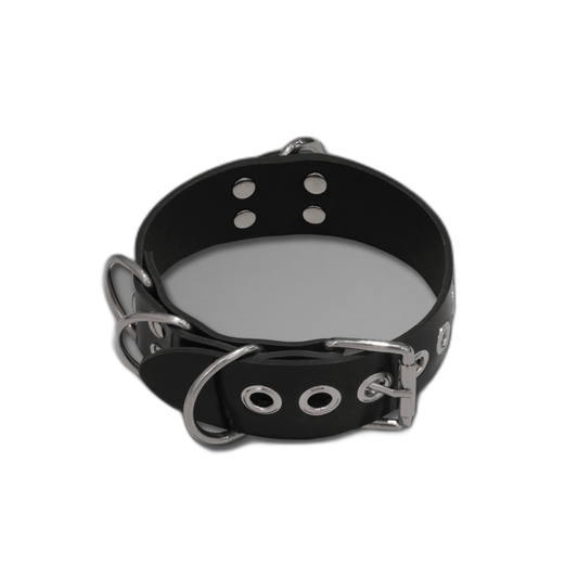 Multi-D Buckle Style Silicone Collar