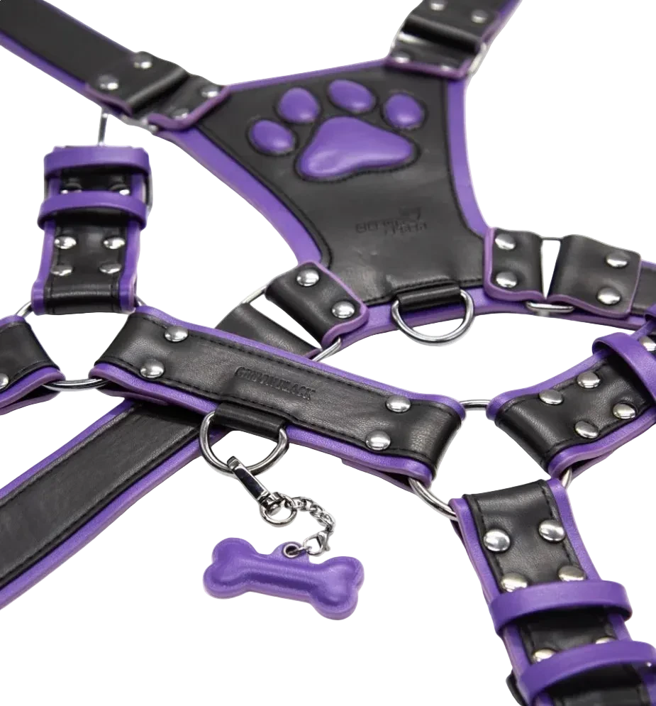 PU Leather Puppy Harness
