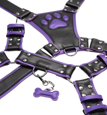 PU Leather Puppy Harness