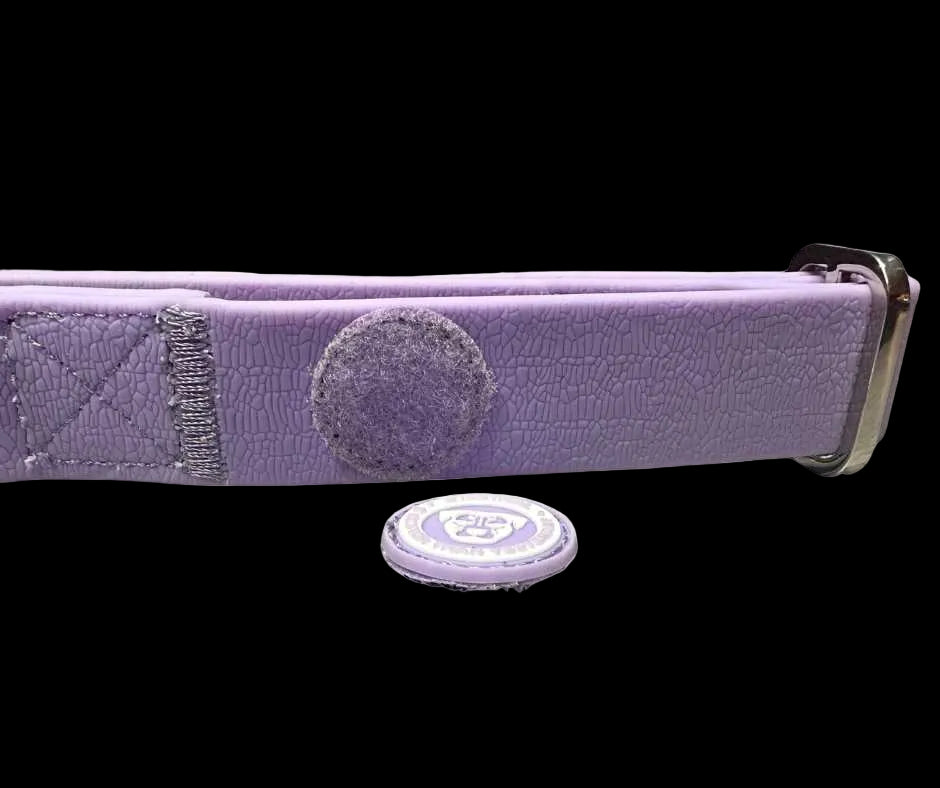 2.5cm Tactical Collar Purple