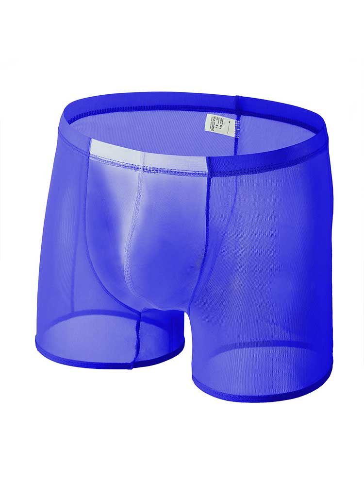 Men's Sexy Breathable Sheer Mesh Boxer Briefs
