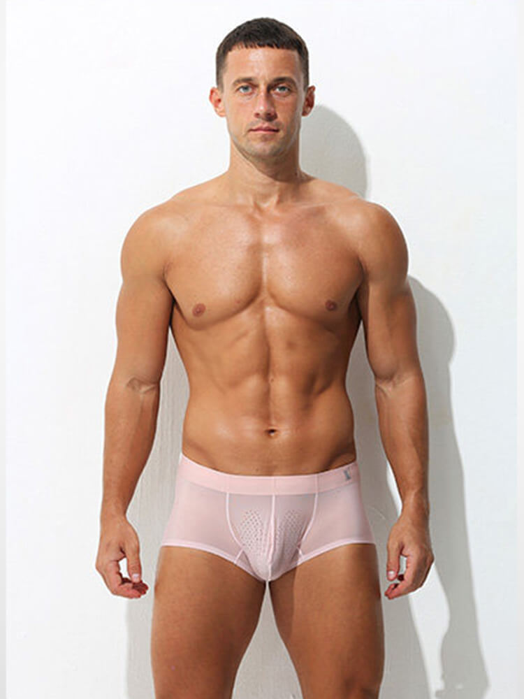 Men's Sexy Ultra-Thin Mesh Ice Silk Boxer Briefs