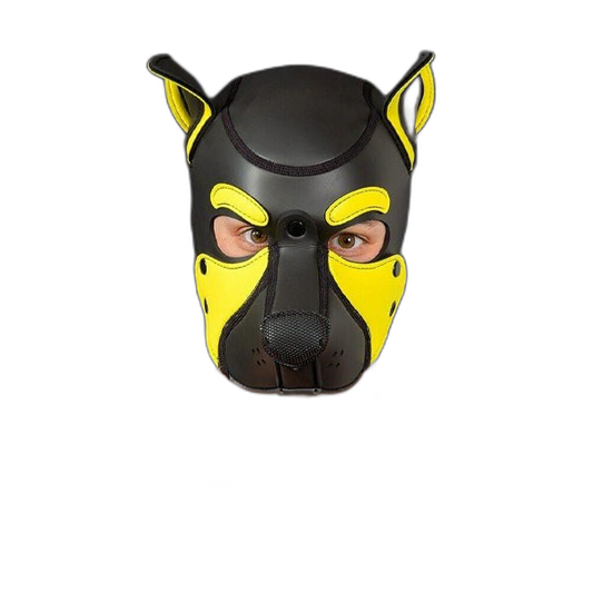 Mr S Leather NEOPRENE FRISKY Puppy Hood | Black & Yellow