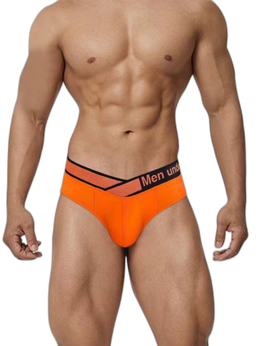 2 Pack Men's Stylish V-Shaped Waistband Briefs