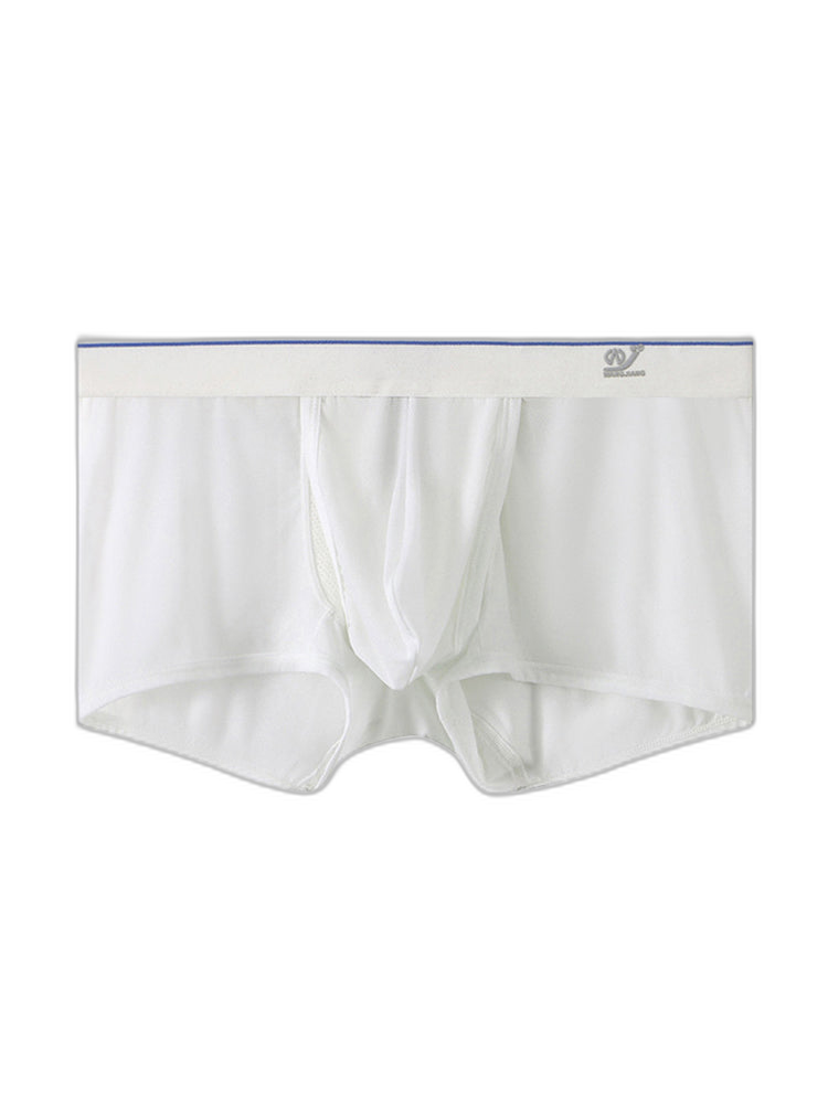 2 Pack Men's Breathable Mesh Trunks with Fly