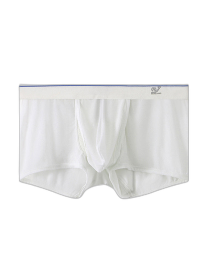 2 Pack Men's Breathable Mesh Trunks with Fly