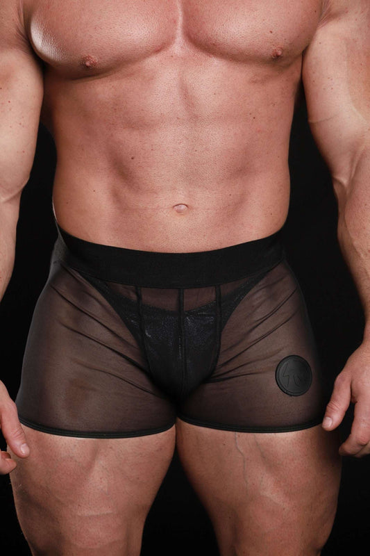 Sheer Black Groupie Shorts
