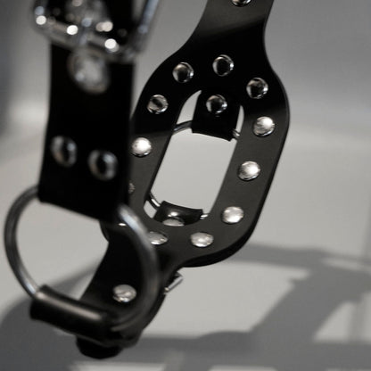 Silicone Dogtail Fixation Straps