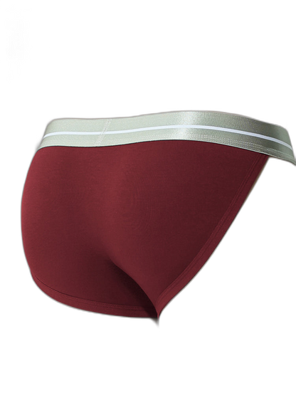 4 Pack Men's Sexy Bikini Brief Style Pouch Underwear