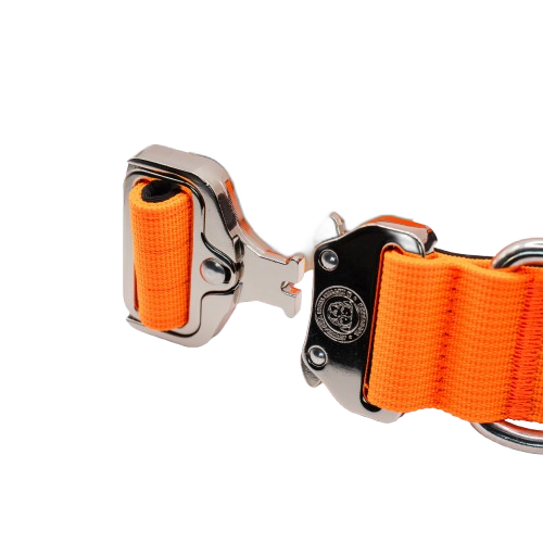 4cm Tactical Collar Orange