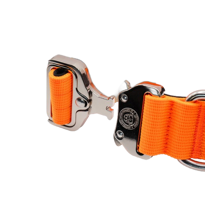 4cm Tactical Collar Orange